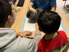 -雨林宠物医院 非犬猫异宠专科