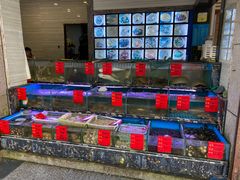 水产区-金海湾海鲜排档(朱家尖店)