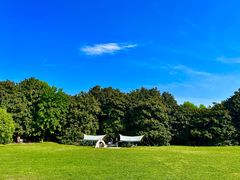 -上海共青森林公园