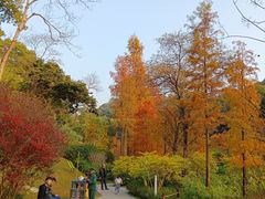 -云溪植物园