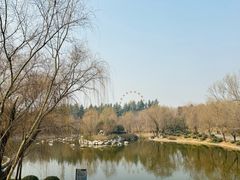 -清凉山国家森林公园