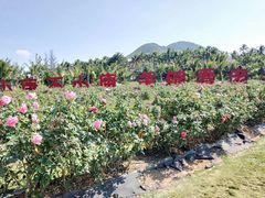 -亚龙湾国际玫瑰谷