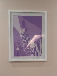 -SILKTONE诗丽堂美容