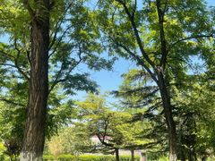 -丰台科技园生态主题公园