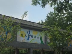 -桤木河湿地公园