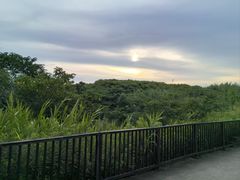 -上海国际音乐村