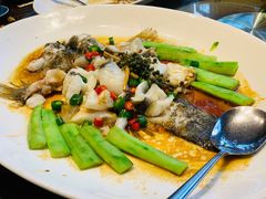青花椒蒸笋壳鱼-猪肉婆私房菜(容桂总店)