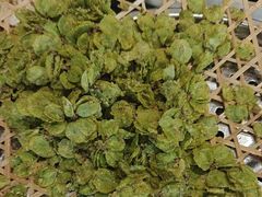 -77号渔船·蒸海鲜青岛菜(积米崖店)