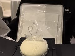 -BLACKSWAN黑天鹅(环球店)