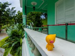 -龙环葡韵住宅式博物馆