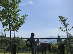 -窦圌山风景区