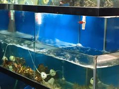 -美味海鲜大排档(明发美食地标店)