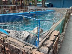 -泉城欧乐堡海洋极地世界