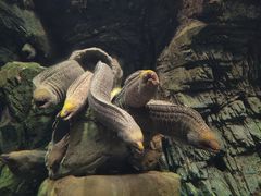 -珠海长隆海洋王国