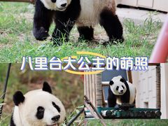 -天津市动物园