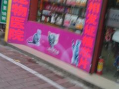 -瑞派动物医院·绝育·犬猫全科·预防医学(光景江南中店)