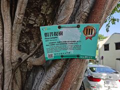 -安德鲁饼店(总店)