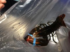 -盒马鲜生(顺义店)