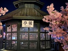 -武汉知音号