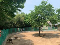 -西安秦岭野生动物园