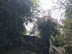 -疯狂屋