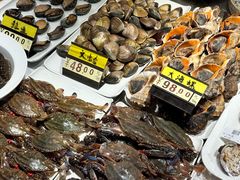 -渔娘渔家丹东海鲜(东直门店)