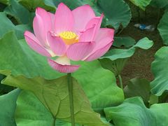 -洪湖家庭农场·团建·露营·会议