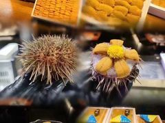 -原志优秀食材·匠心料理·海胆主题(金亿广场店)
