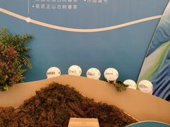 -七彩云南茶(七彩云南第壹城店)