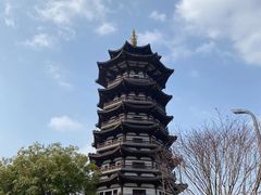 -洋湖国家湿地公园