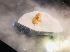 -将太无二·北美传奇寿司(荟聚购物中心西红门店)