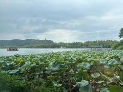 -湖畔居茶楼(湖滨店)