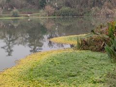 -桤木河湿地公园