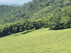 -敬亭山风景名胜区