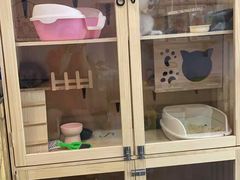 -喵汪萌宠屋旗舰店.洗澡美容.猫狗基地