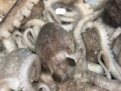 -恒达综合农贸市场(黄山路店)