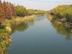 android_upload_pic-新江湾城公园