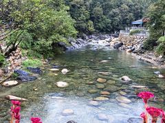 -石台牯牛降景区