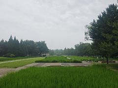 -北坞公园