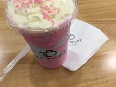 -飞行喵MR PILOT|猫舍·猫咖(静安大融城店)