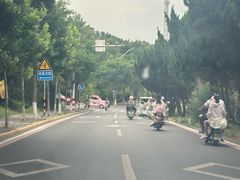 -养马岛旅游度假区