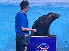 -乌鲁木齐海洋馆