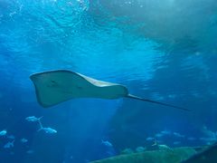 -福州罗源湾海洋世界旅游区