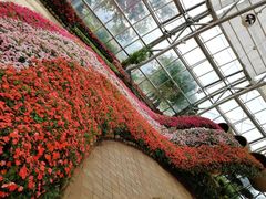 -芽庄珍珠岛游乐园