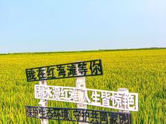 -红海滩国家风景廊道