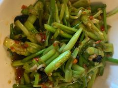 水芹菜-文和友老长沙龙虾馆(化龙池店)