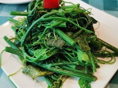 凉拌龙须菜-南来顺饭庄·清真(南菜园店)