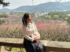 -香雪海