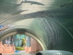 -新加坡水上探险乐园