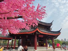 -广东圆玄道观